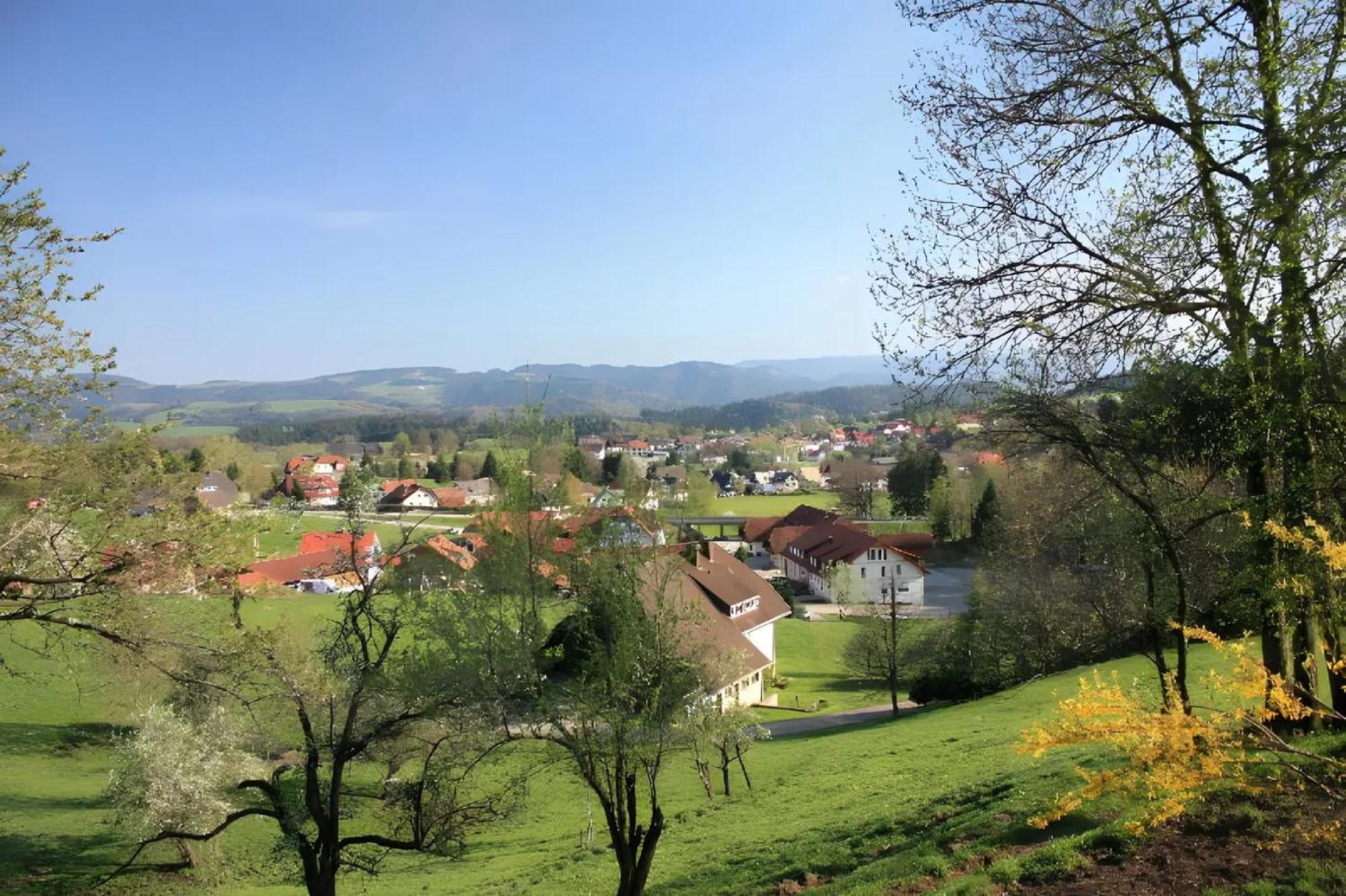 Ferien Auf Dem Steingrubenhof Διαμέρισμα Sankt Peter Εξωτερικό φωτογραφία